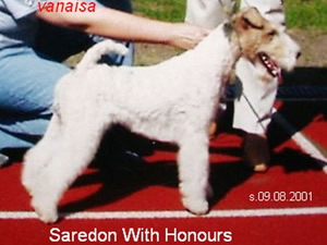 Saredon With Honours
