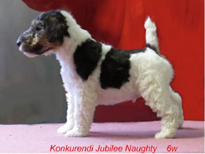 Jubilee Naughty
