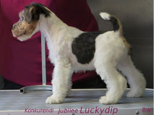 Luckydip
