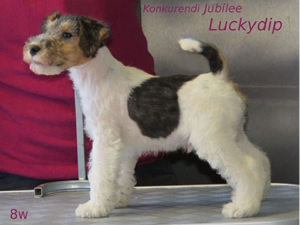 Luckydip