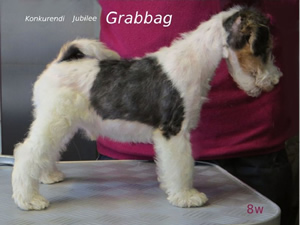 Grabbag
